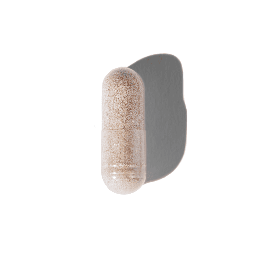 The Lion Ritual – 30-Tage AM/PM Performance-System