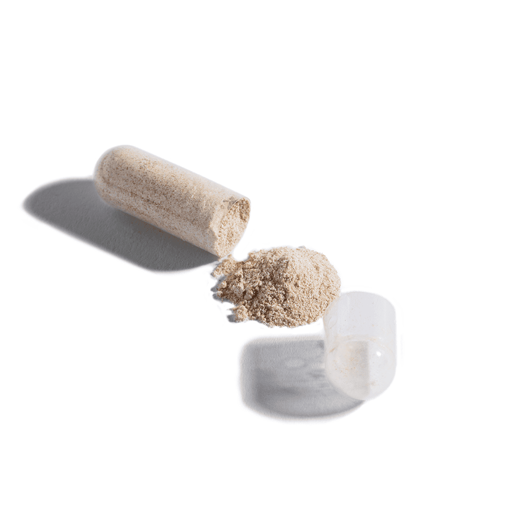 30-Tage AM/PM System für Fokus, Energie und mehr Kontrolle im Alltag